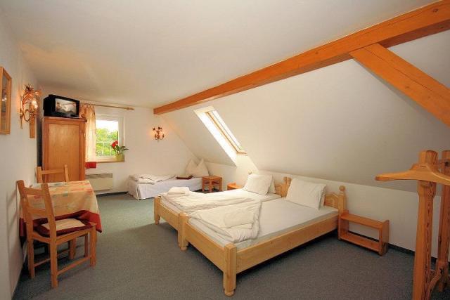 hotel-a-penzion-seeberg-frantiskovy-lazne-pokoj1.jpg