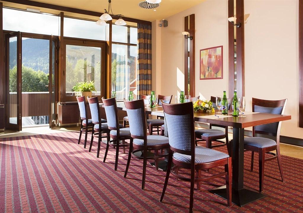hotel-sklar-harrachov-vip-salonek.jpg