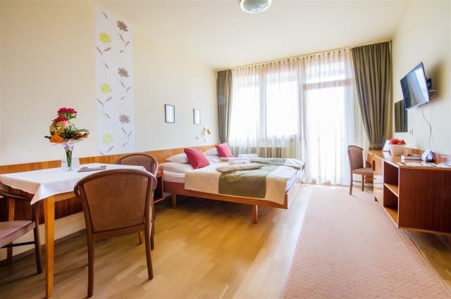 hotel-apartman-buk-apartman-Suite-1,5-pokoje-dvouluzko.jpg