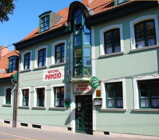 penzion-bacchus-madarsko-eger-pohled-na-penzion.jpg