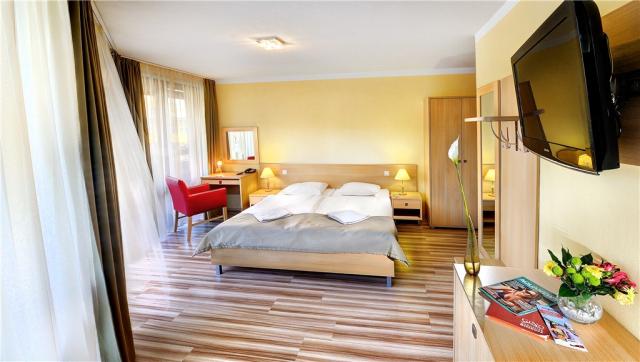 hotel-besenova-slovensko-besenova-pokoj-lux.jpg
