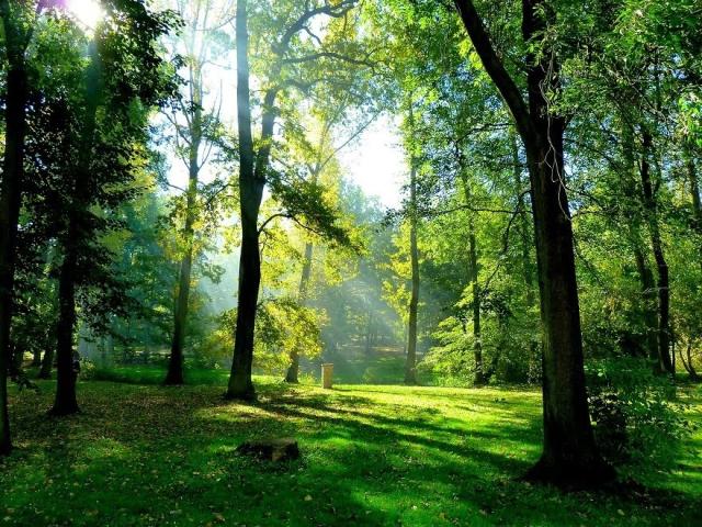 Park Dolní Počernice.jpg