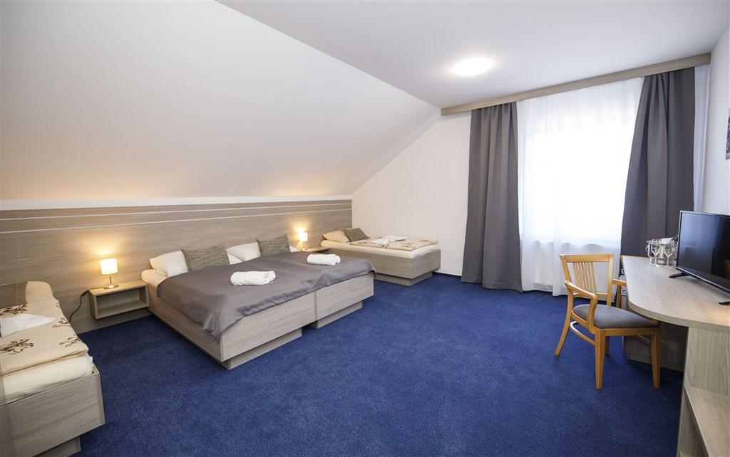 hotel-jesenice-ceska-republika-jesenice-ctyrluzkovy-pokoj (2).j
