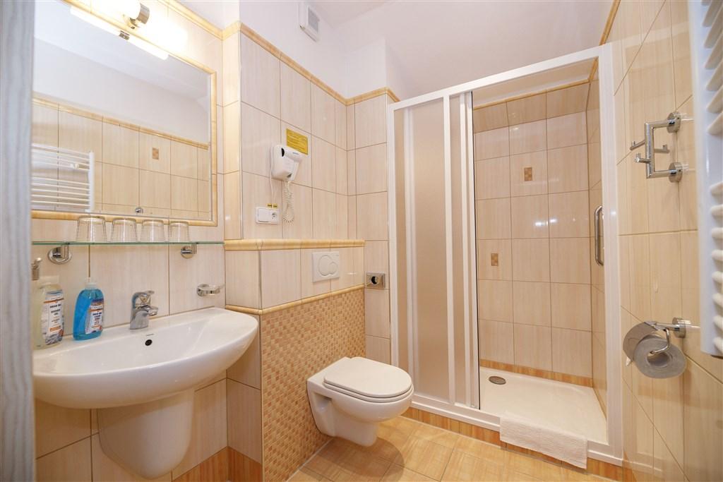hotel-jesenice-ceska-republika-jesenice-ctyrluzkovy-pokoj-koupe