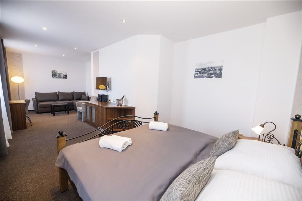 hotel-jesenice-ceska-republika-jesenice-apartman (7).jpg