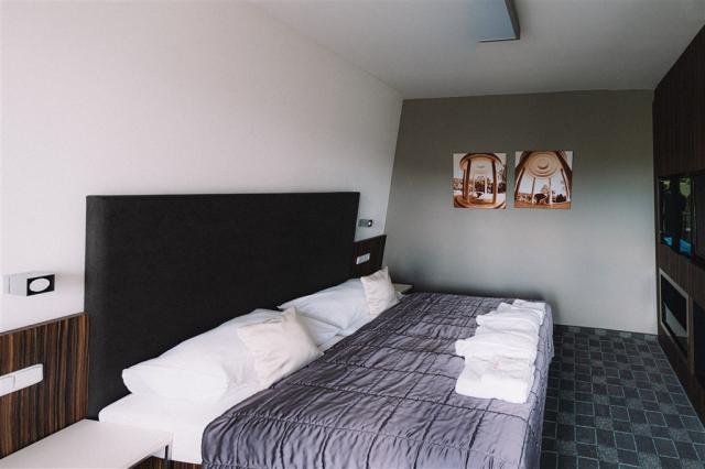 wellness_hotel_pohoda_luhacovice_apartma1.jpg
