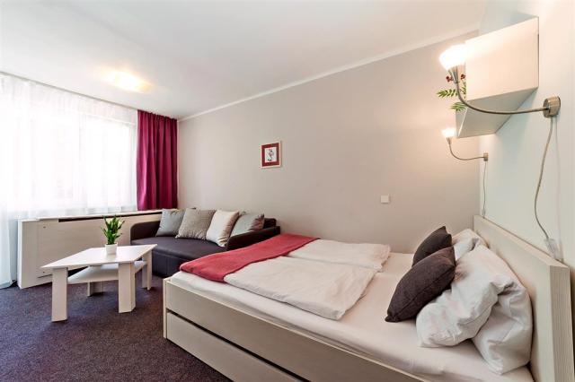 hotel-racek-cerna-v-posumavi-pokoj-3.jpg
