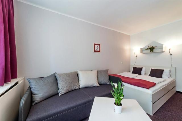 hotel-racek-cerna-v-posumavi-pokoj-4.jpg