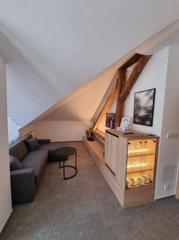 hotel-miramare-ceska-republika-luhacovice-apartman-obyvaci-poko