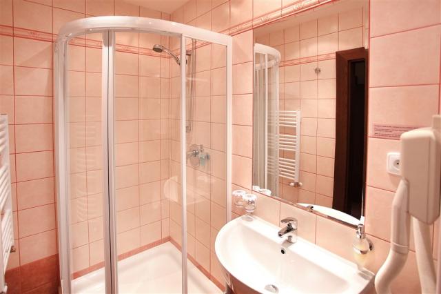 hotel-zlata-hvezda-trebon-socialni-zarizeni-standartni-pokoje.j