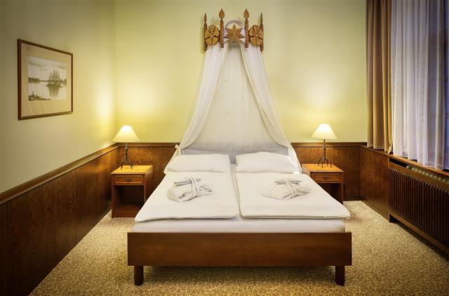 trebon_hotel_wellness_and_spa_hvezda (37).jpg