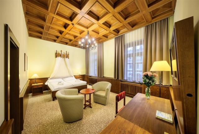 trebon_hotel_wellness_and_spa_hvezda (36).jpg