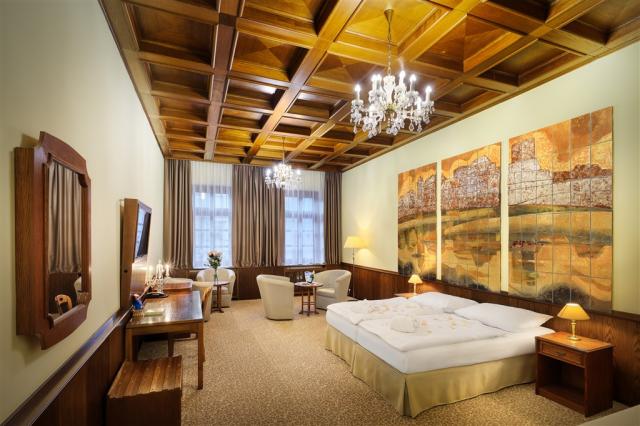 trebon_hotel_wellness_and_spa_hvezda (35).jpg