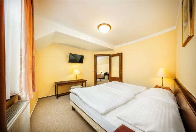 trebon_hotel_wellness_and_spa_hvezda (32).jpg