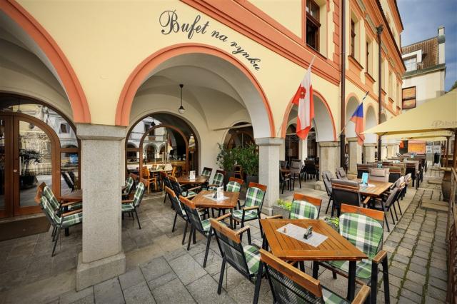 trebon_hotel_wellness_and_spa_hvezda (29).jpg
