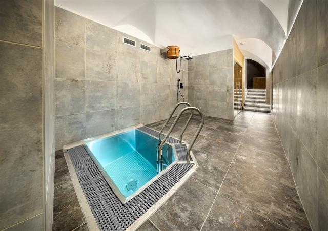 trebon_hotel_wellness_and_spa_hvezda (20).jpg