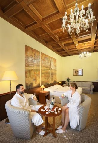 trebon_hotel_wellness_and_spa_hvezda (19).jpg