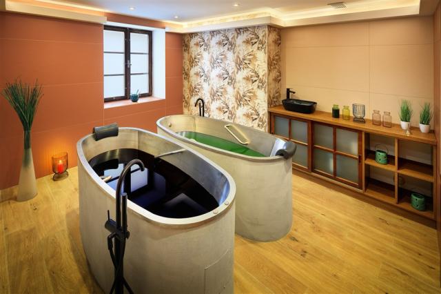 trebon_hotel_wellness_and_spa_hvezda (16).jpg