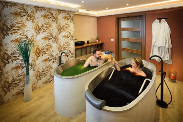trebon_hotel_wellness_and_spa_hvezda (14).jpg