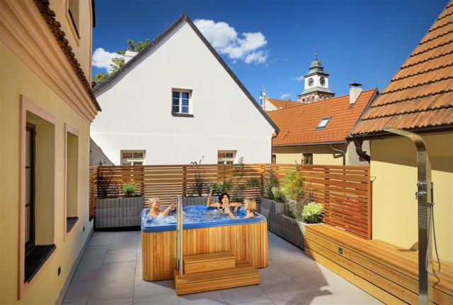 trebon_hotel_wellness_and_spa_hvezda (2).jpg