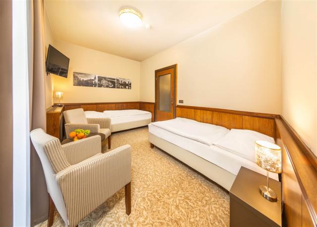 hotel-zlata-hvezda-trebon-dvouluzkovy-pokoj-economy.jpg