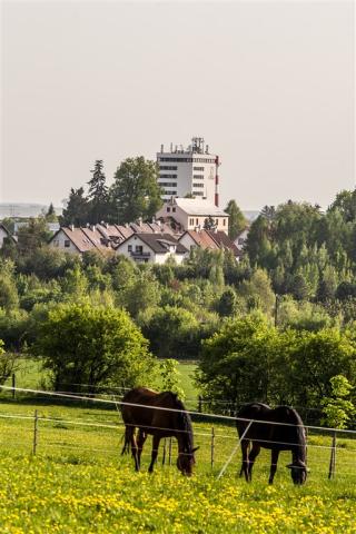 hotel-restart-cesko-jicin-okoli.jpg