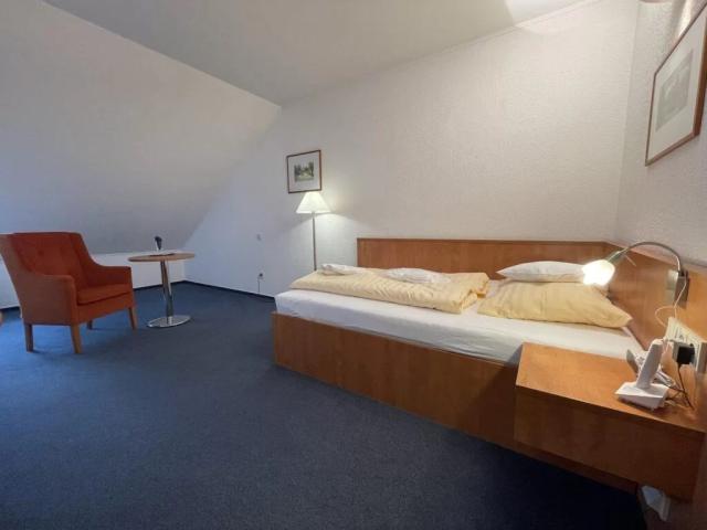 hotel-reza-ceska-republika-frantiskovy-lazne-jednoluzkovy-pokoj