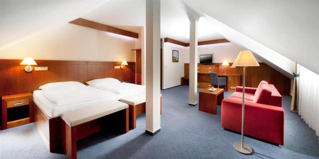 hotel-reza-ceska-republika-frantiskovy-lazne-dvouluzkovy-pokoj-