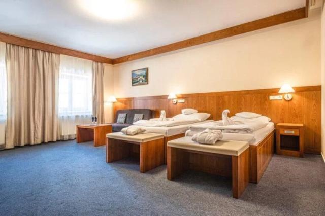 hotel-reza-ceska-republika-frantiskovy-lazne-dvouluzkovy-pokoj-
