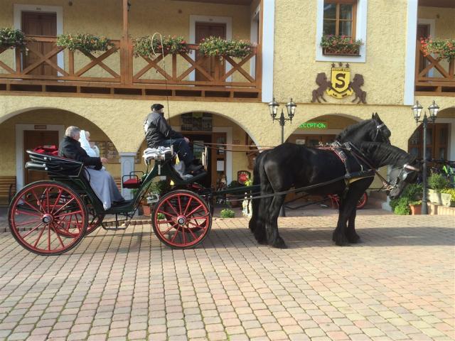 resort-stein-cheb-skalka-kocar.jpg