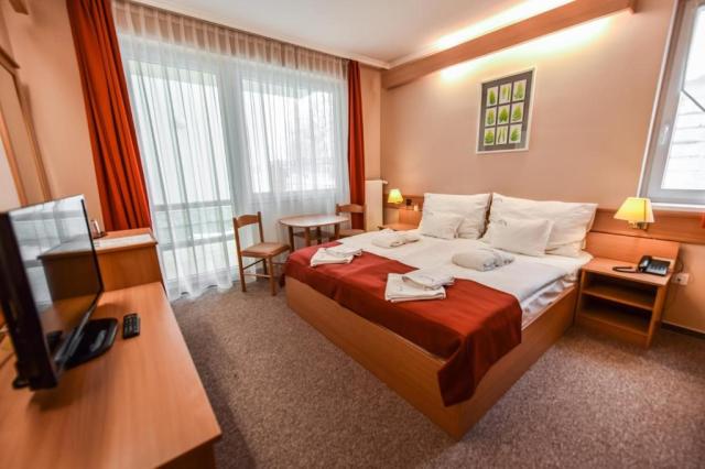 aqua-hotel-termal-madarsko-mosonmagyarovar-dvouluzkovy-pokoj-st