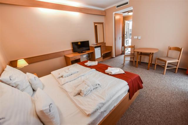 aqua-hotel-termal-madarsko-mosonmagyarovar-dvouluzkovy-pokoj-st