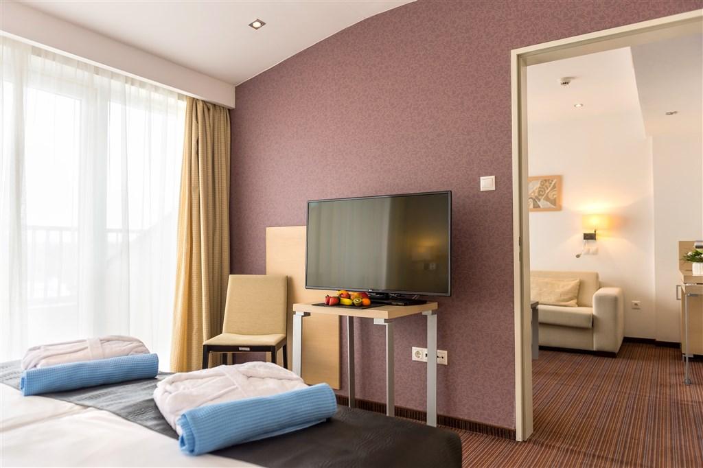hotel-park-inn-sarvar-sv09-vybaveni-pokoje.jpg
