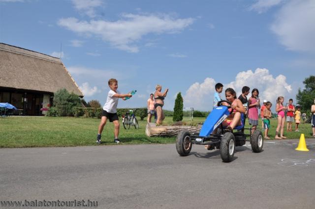 Kemp-Vadvirag-Wildflower-Balatonszemes-animace.jpg