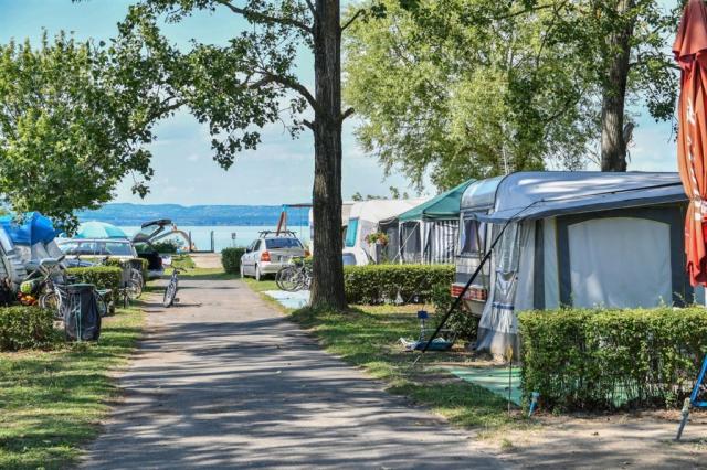 Kemp-Vadvirag-Wildflower-Balatonszemes-foto50.jpg