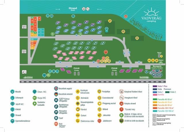 Kemp-Vadvirag-Wildflower-Balatonszemes-mapa-kempu-2024.jpg
