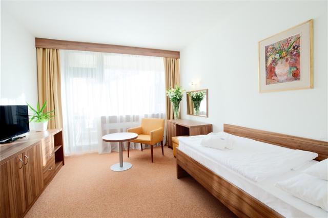 hotel-diamant- slovensko-dudince-pohled-na-pokoj.jpg