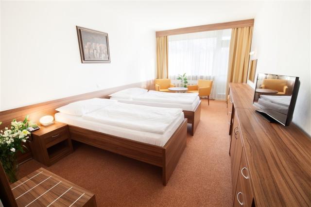 slovensko-dudince-hotel-diamant-ubytovani-dvojluzkovy-pokoj.jpg