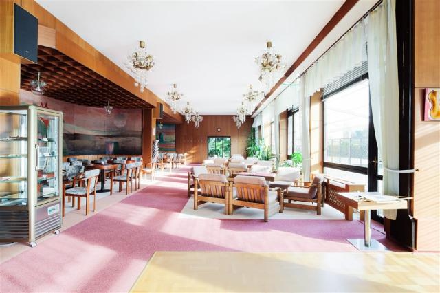 slovensko-dudince-hotel-diamant-stravovani-restaurace.jpg