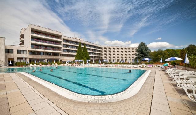 slovensko-dudince-hotel-diamant-venkovni-bazen.jpg