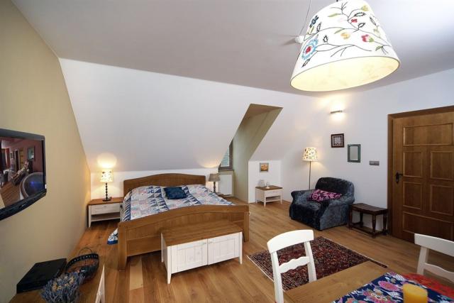 hotel-bozi-oko-male-chrastany-pokoj-exclusive.jpg