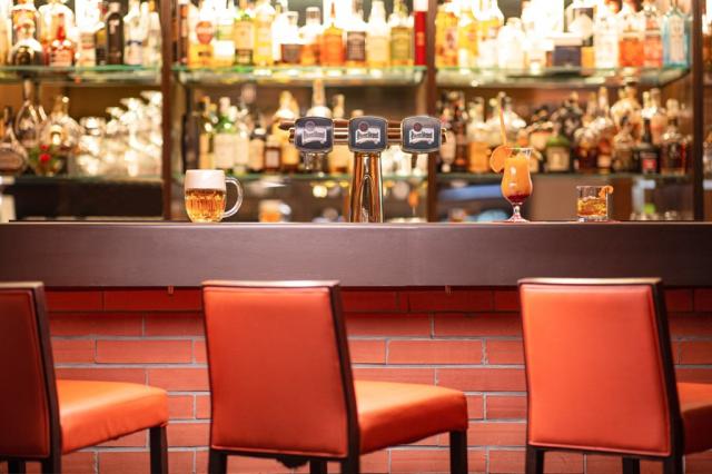 hotel-orea-devet-skal-ceska-republika-milovy-bar.jpg