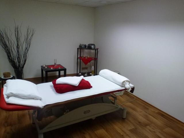 wellness-hotel-energetic-roznov-pod-radhostem-wellness-lehatko.