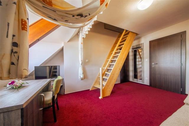 Frankuv-dvur-Jindrichuv-Hradec-apt-prizemi.jpg