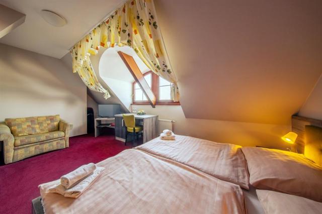 hotel-frankuv-dvur-jindrichuv-hradec-dvouluzkovy-pokoj.jpg