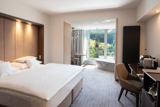 hotel-lanterna-ceska-republika-velke-karlovice-pokoj-standard-v
