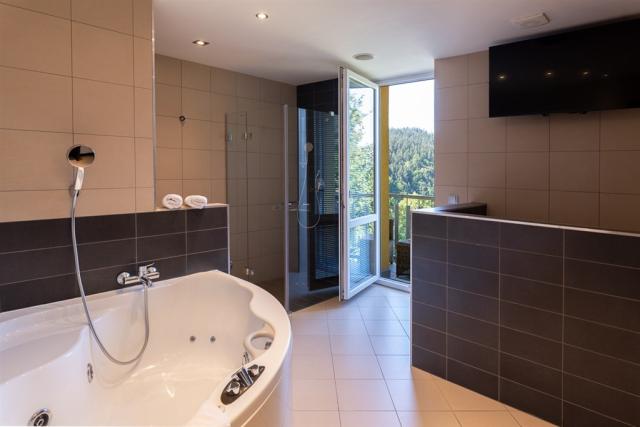 hotel-lanterna-ceska-republika-velke-karlovice-pokoj-grand-suit