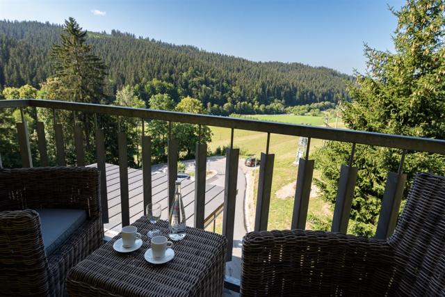 hotel-lanterna-ceska-republika-velke-karlovice-pokoj-grand-suit