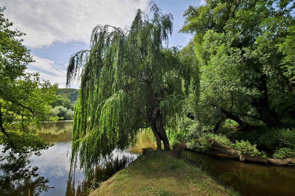 romanticky-hotel-mlyn-karlstejn-cesko-karlstejn-okoli.png