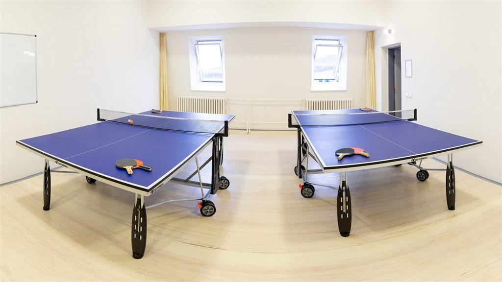 kamzik-cesko-karlov-pod-pradedem-stolni-tenis.jpg